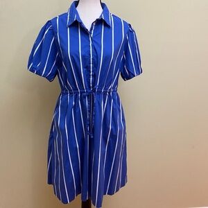 J. Crew Short-Sleeve Tie-Waist Blue and White Stripe Shirt Dress with Pockets 10